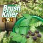 Poison Ivy & Brush Killer Concentrate – Bonide – 16 oz